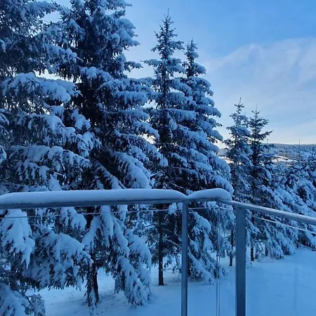 Apartment Nerudovka D 104, Finska Sauna, Garazove Stani Loucna pod Klinovcem