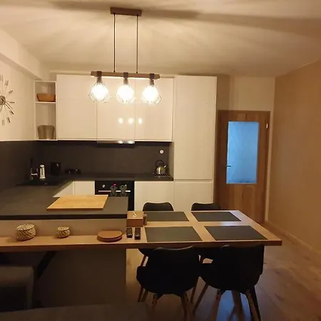 Apartment Nerudovka D 104, Finska Sauna, Garazove Stani *