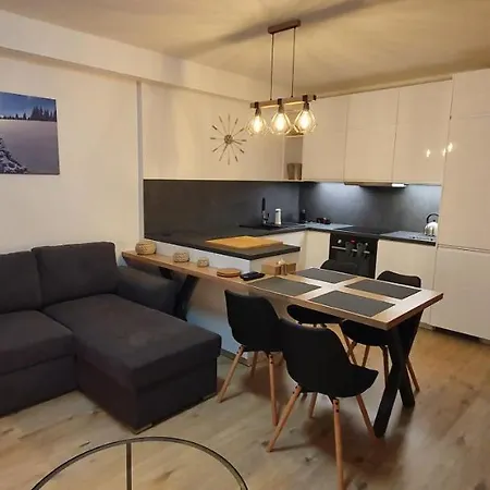 Apartment Nerudovka D 104, Finska Sauna, Garazove Stani *