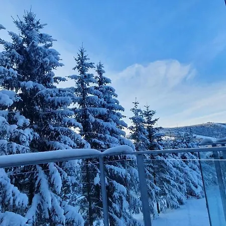 Apartment Nerudovka D 104, Finska Sauna, Garazove Stani *